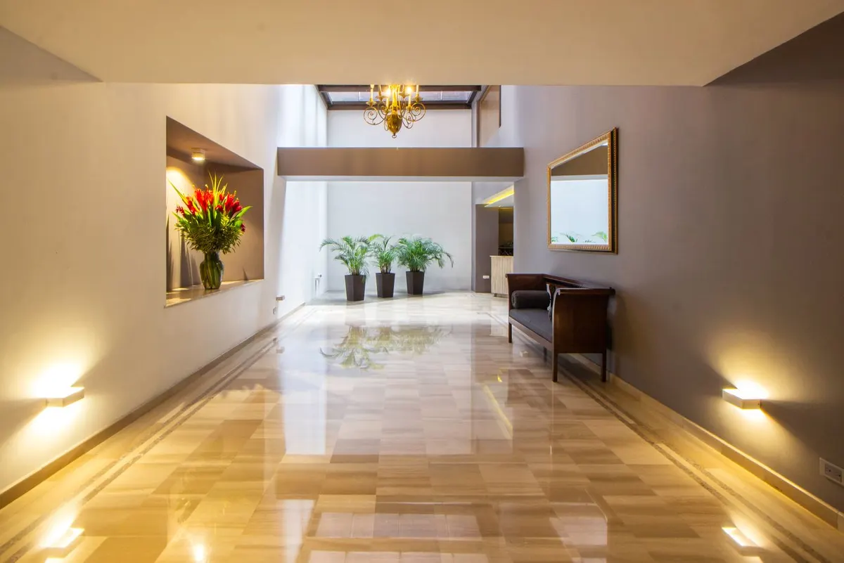Bright entrance with a well-kept floor and decorative plants